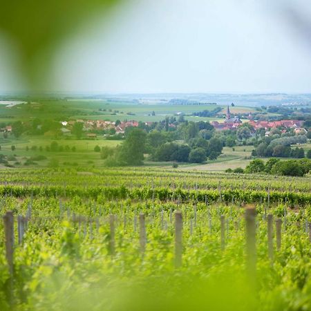 Weingut Schilling Hotel Seinsheim Eksteriør billede