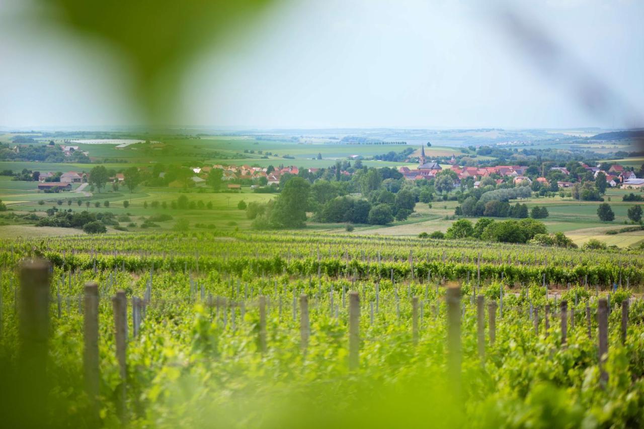 Weingut Schilling Hotel Seinsheim Eksteriør billede